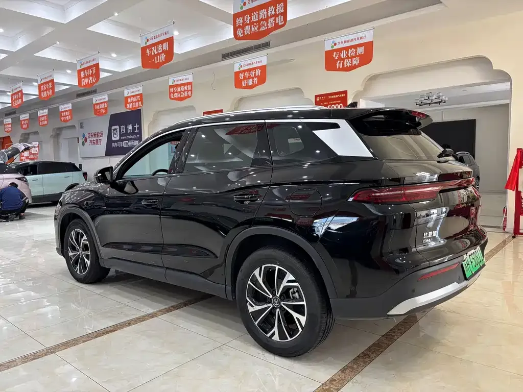 BYD Pro New Energy — фото 9