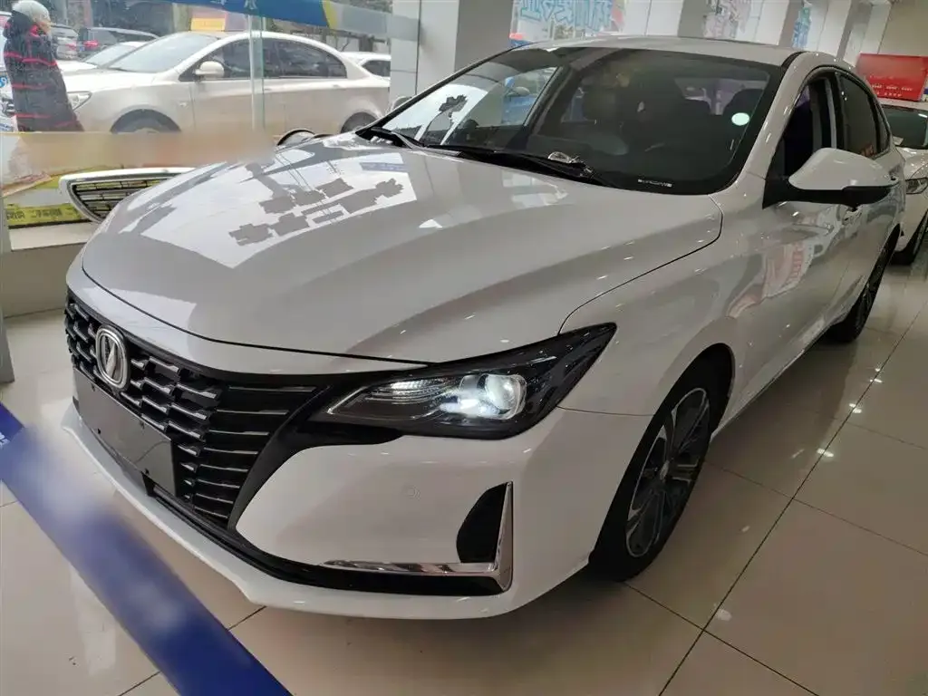 Changan Ruicheng CC 2022 из CN, фото 1