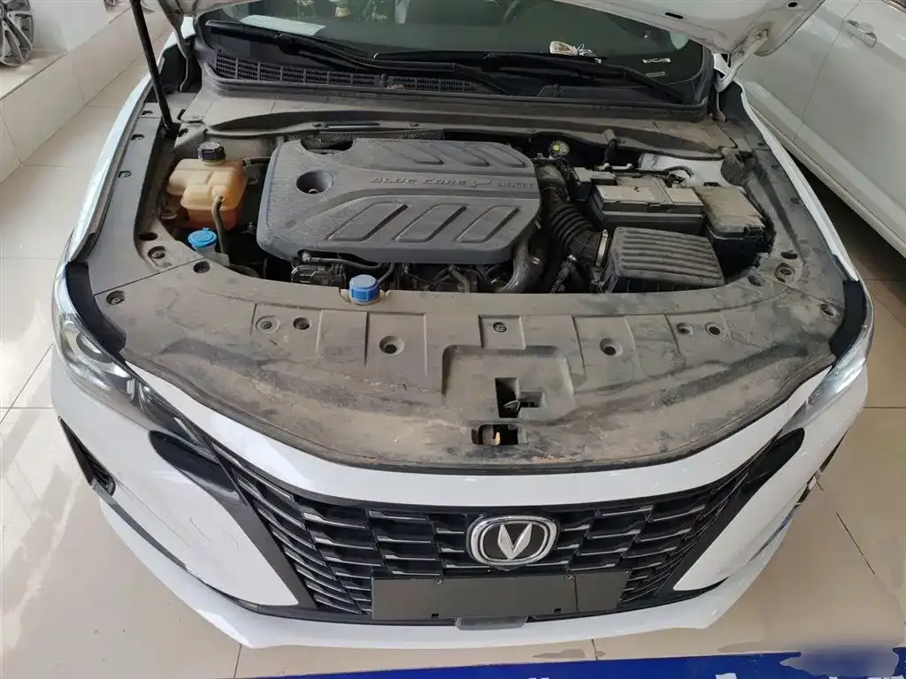Changan Ruicheng CC 2022 из CN, фото 10
