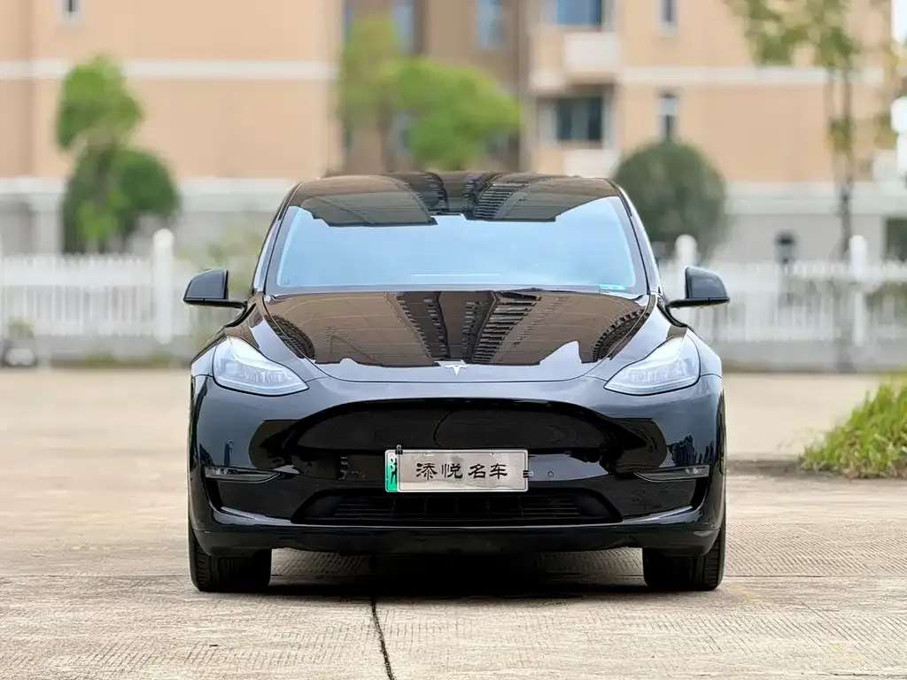 Tesla Model Y 2021 из CN, фото 1