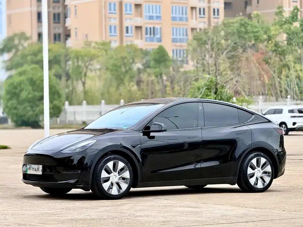 Tesla Model Y 2021 из CN, фото 2