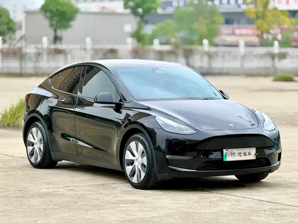 Tesla Model Y 2021 из CN, фото 3