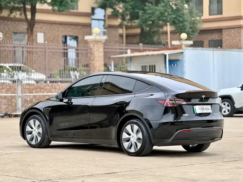 Tesla Model Y 2021 из CN, фото 4