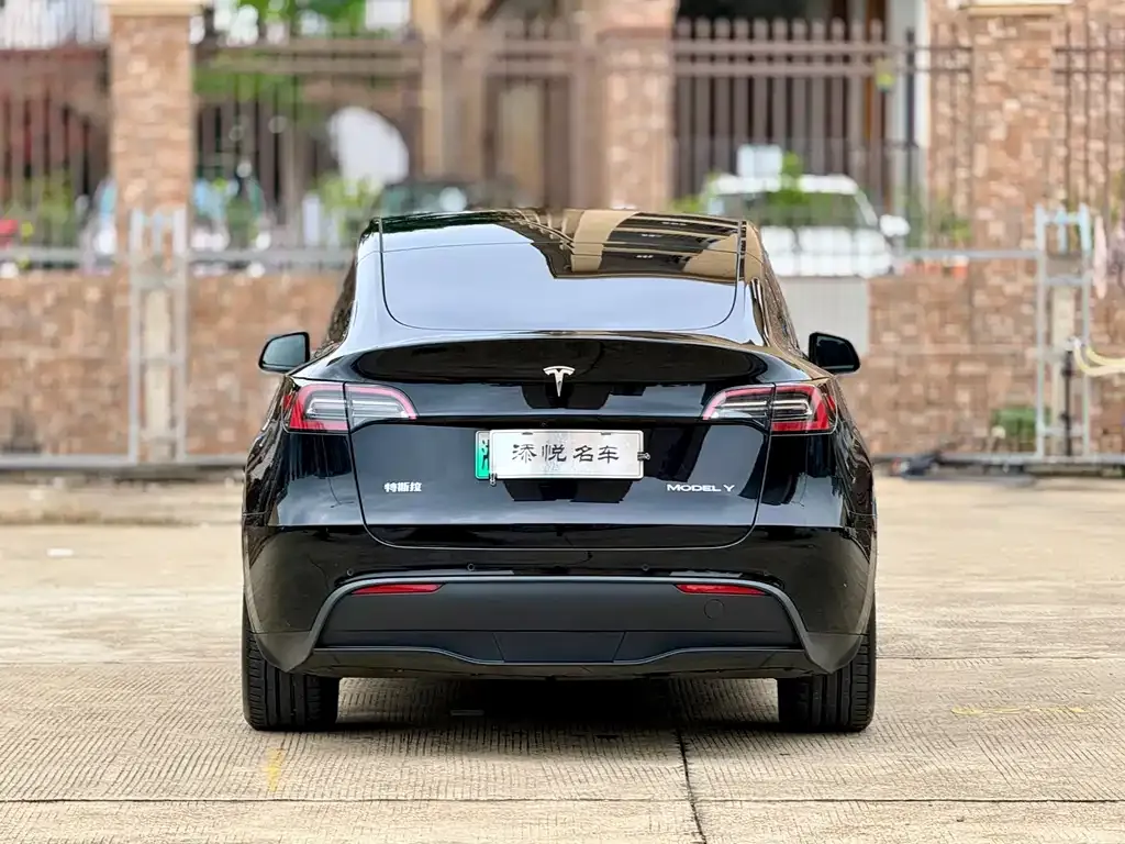 Tesla Model Y 2021 из CN, фото 6