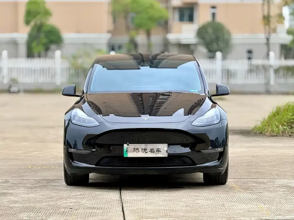 Tesla Model Y 2021 из CN, фото 8