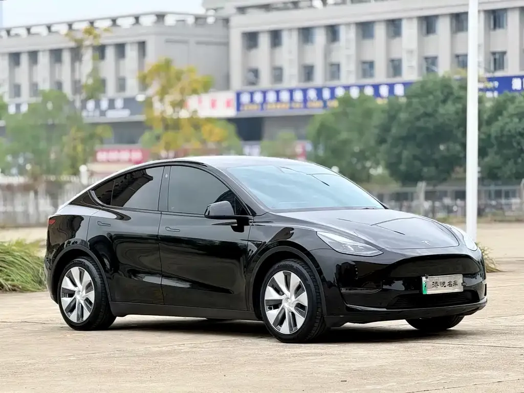 Tesla Model Y 2021 из CN, фото 9
