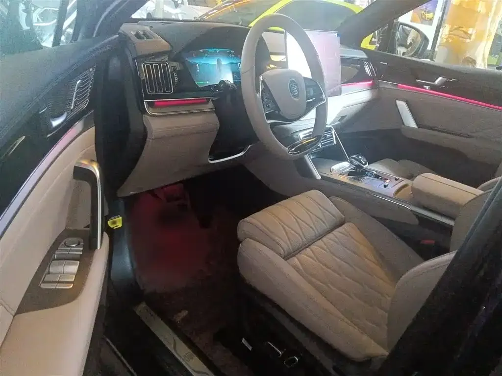 BYD Tang New Energy 2024 из CN, фото 9