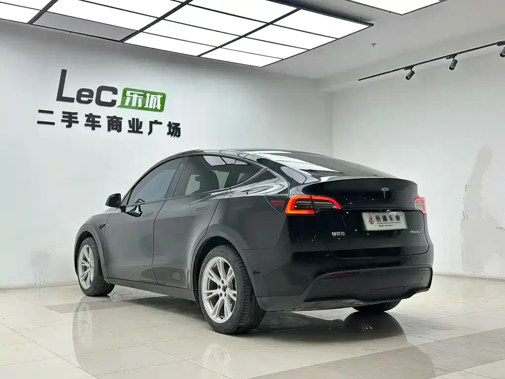 Tesla Model Y 2023 из CN, фото 6