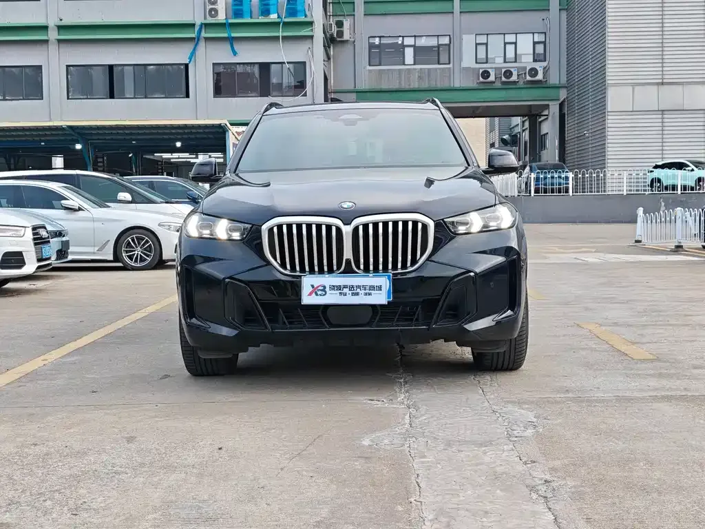 BMW X5 2024 из CN, фото 2