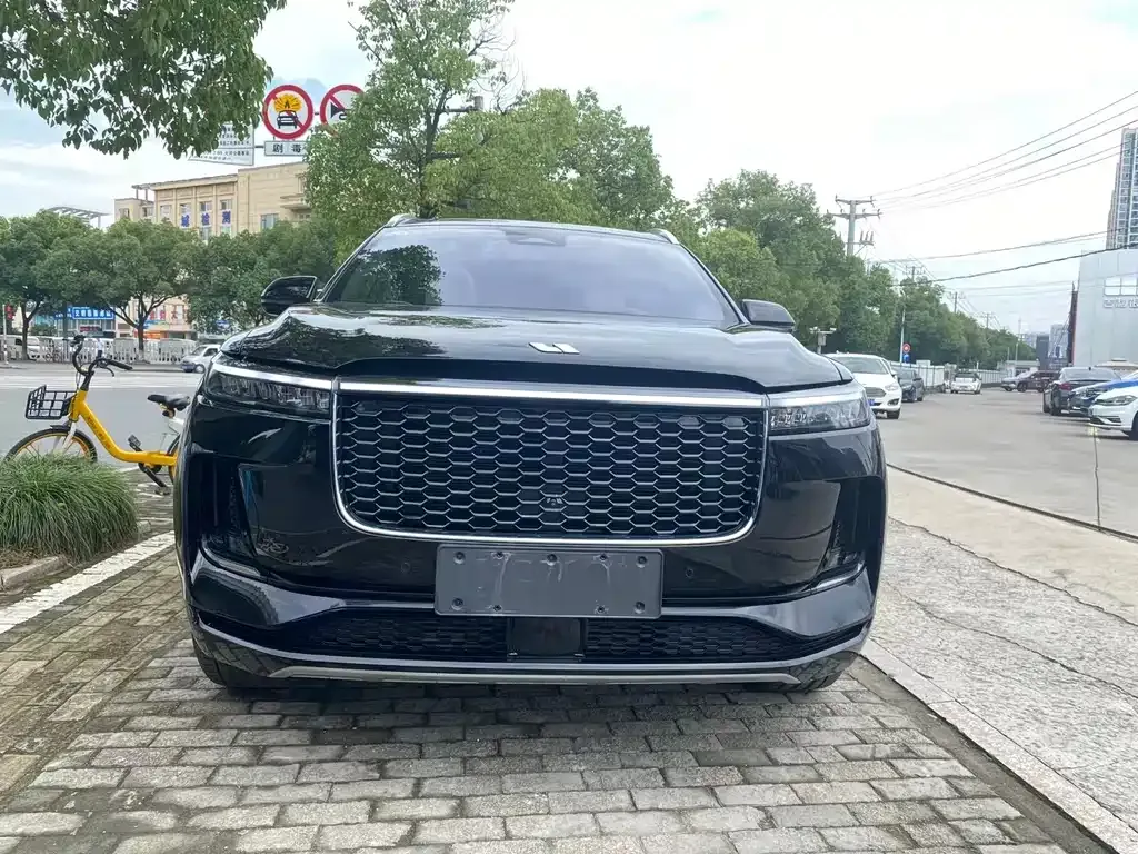 Li Auto ONE 2021 из CN, фото 2