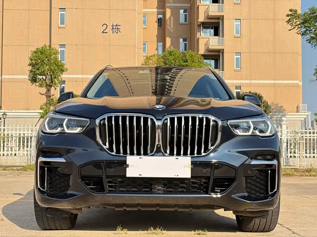 BMW X5 2022 из CN, фото 2