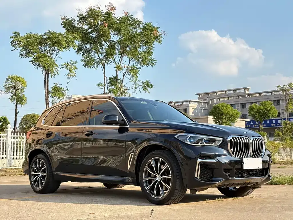 BMW X5 2022 из CN, фото 3