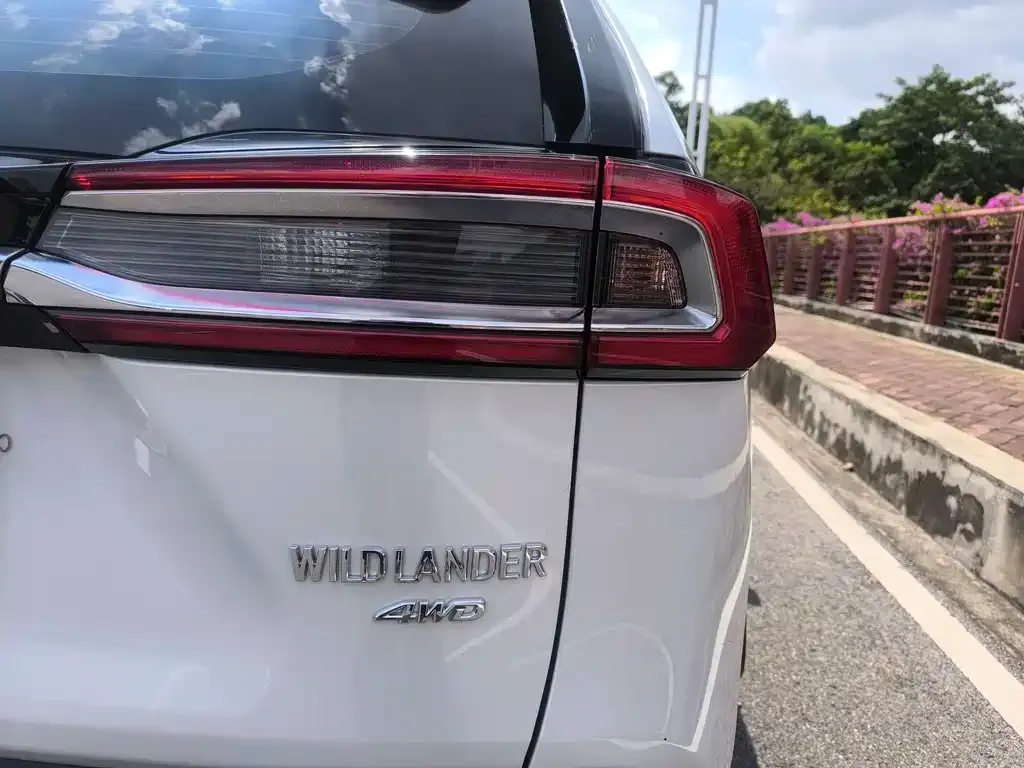 Toyota Wildlander 2021 из CN, фото 10