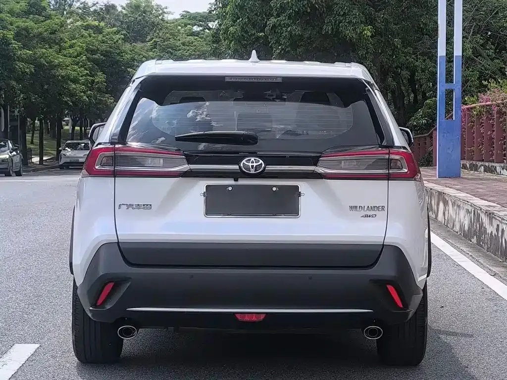 Toyota Wildlander 2021 из CN, фото 7