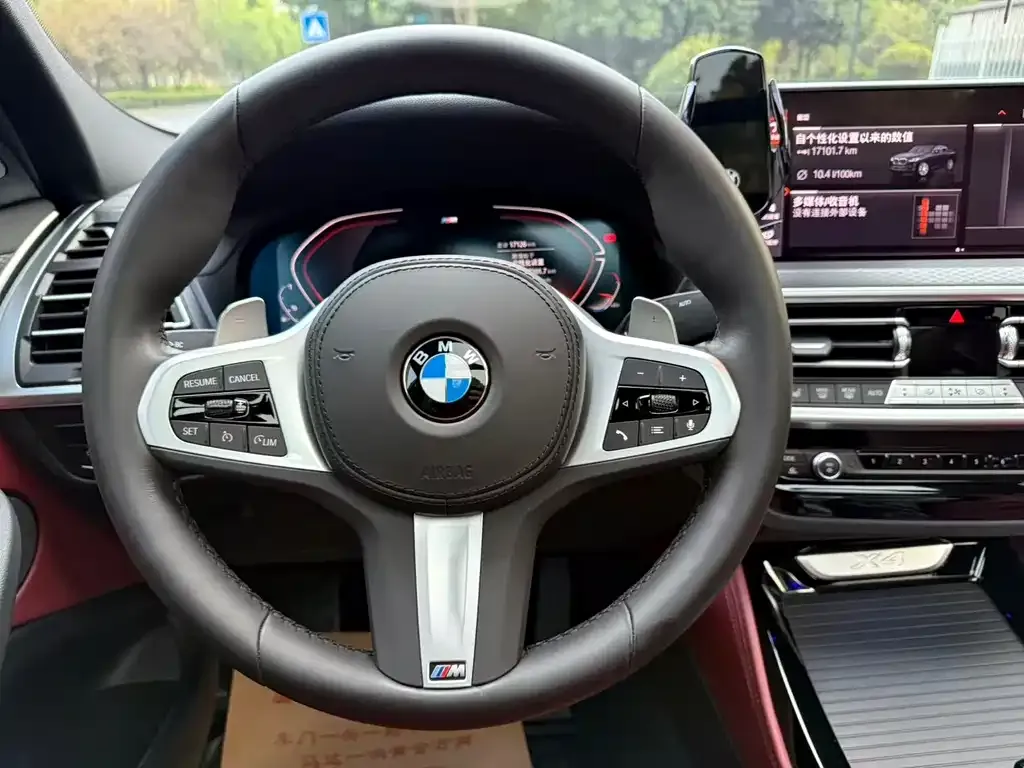 BMW X4 2024 из CN, фото 9