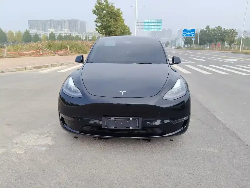 Tesla Model Y — фото 2