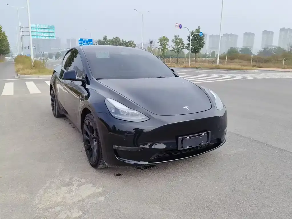 Tesla Model Y — фото 3
