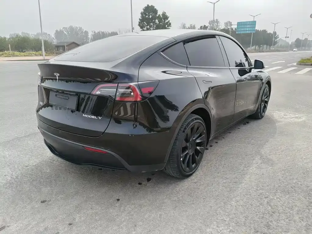 Tesla Model Y — фото 9