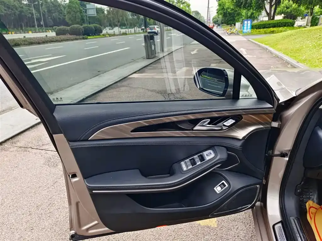 Hongqi H9 2021 из CN, фото 6