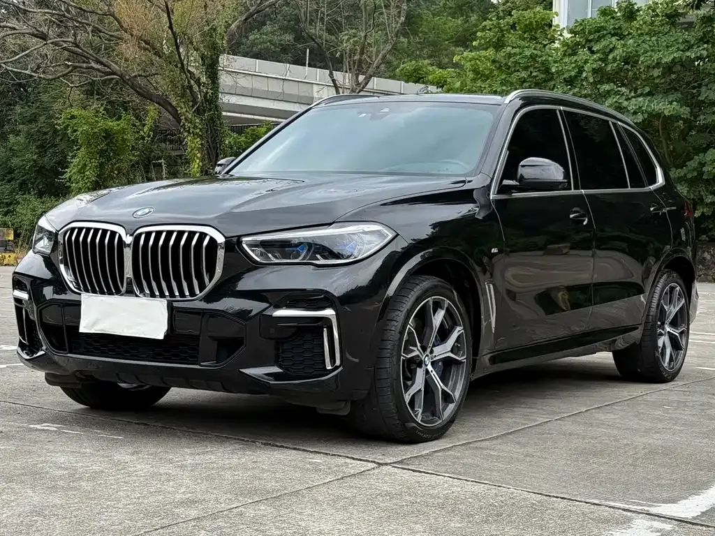 BMW X5 2022 из CN, фото 1