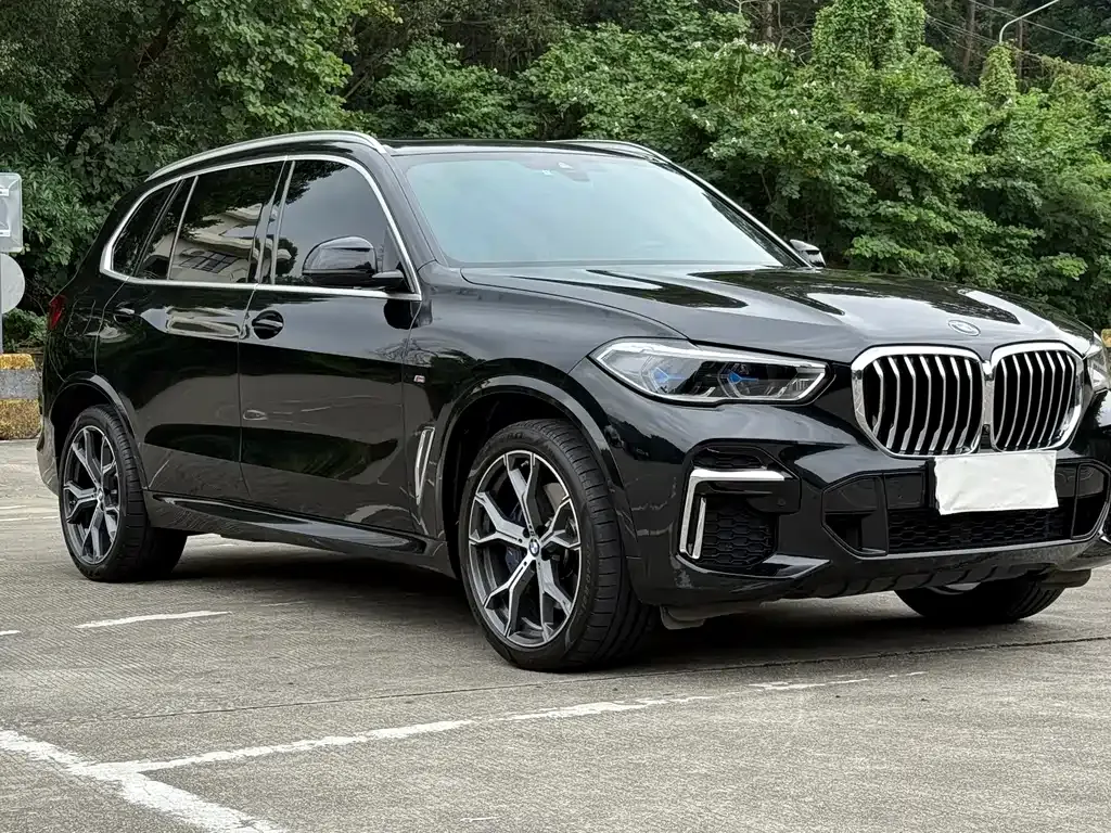 BMW X5 2022 из CN, фото 2