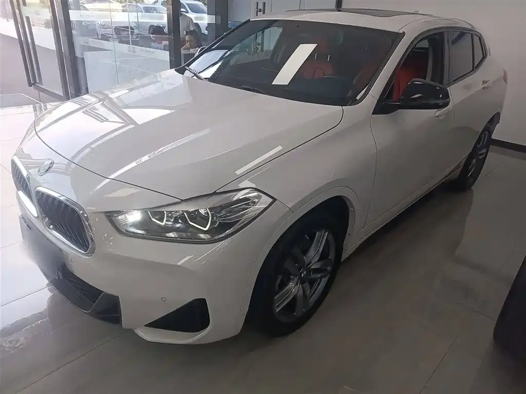 BMW X2 — фото 1