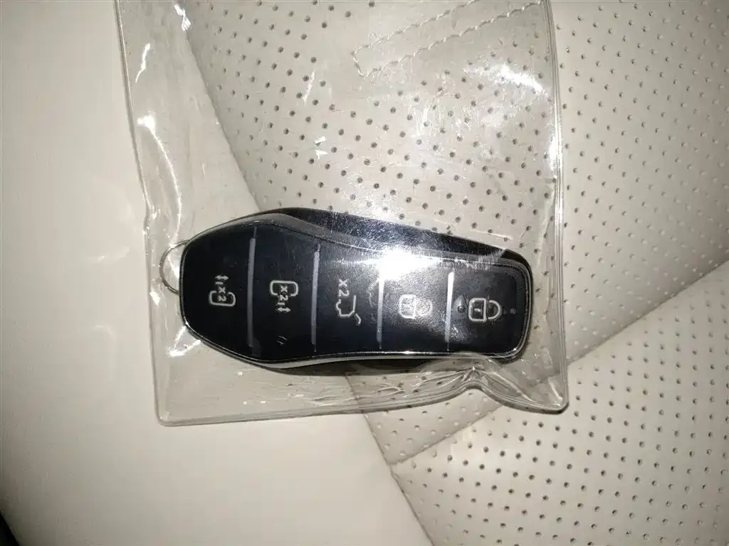 BYD Xia 2025 из CN, фото 9