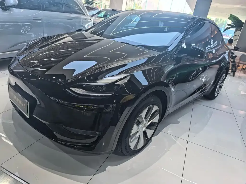 Tesla Model Y 2022 из CN, фото 1