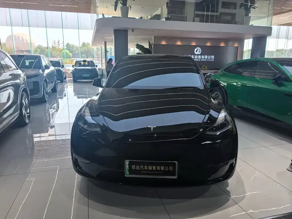 Tesla Model Y 2022 из CN, фото 2