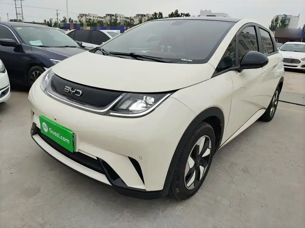 BYD Dolphin 2024 из CN, фото 1