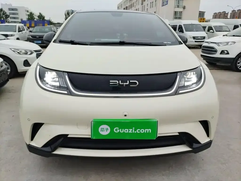 BYD Dolphin 2024 из CN, фото 3
