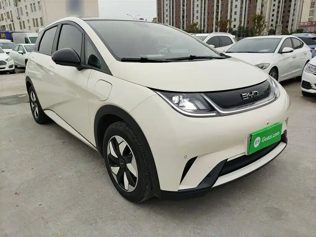 BYD Dolphin 2024 из CN, фото 4