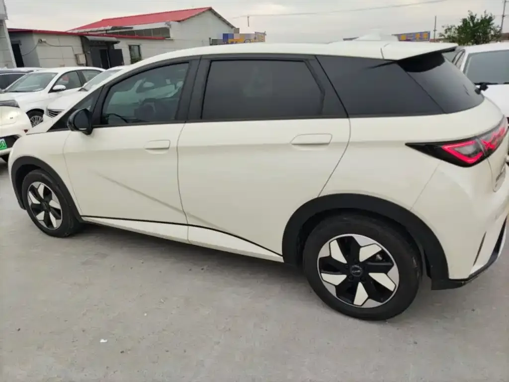BYD Dolphin 2024 из CN, фото 5