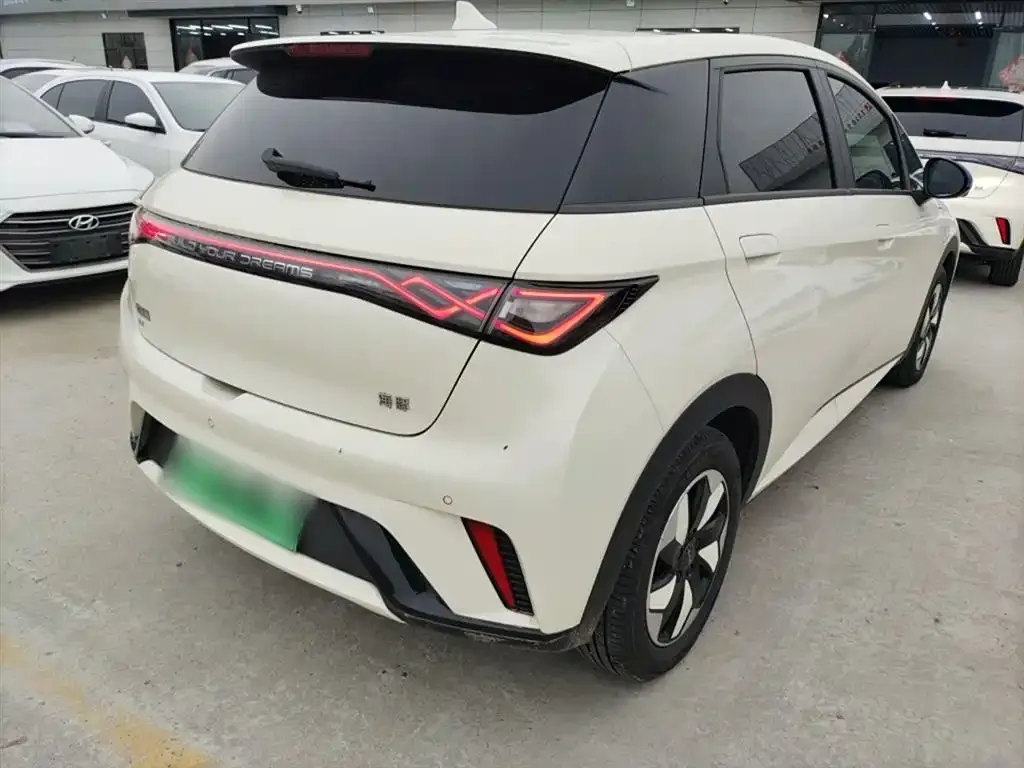 BYD Dolphin 2024 из CN, фото 7