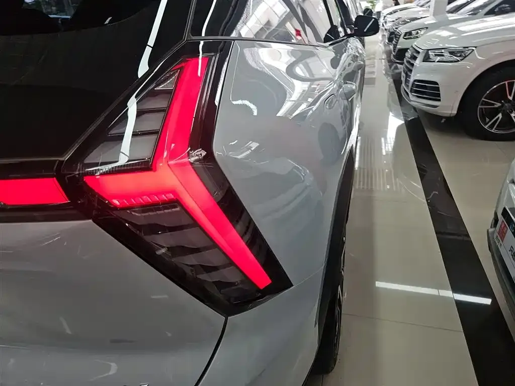 [object Object] Boyue L 2024 из CN, фото 8