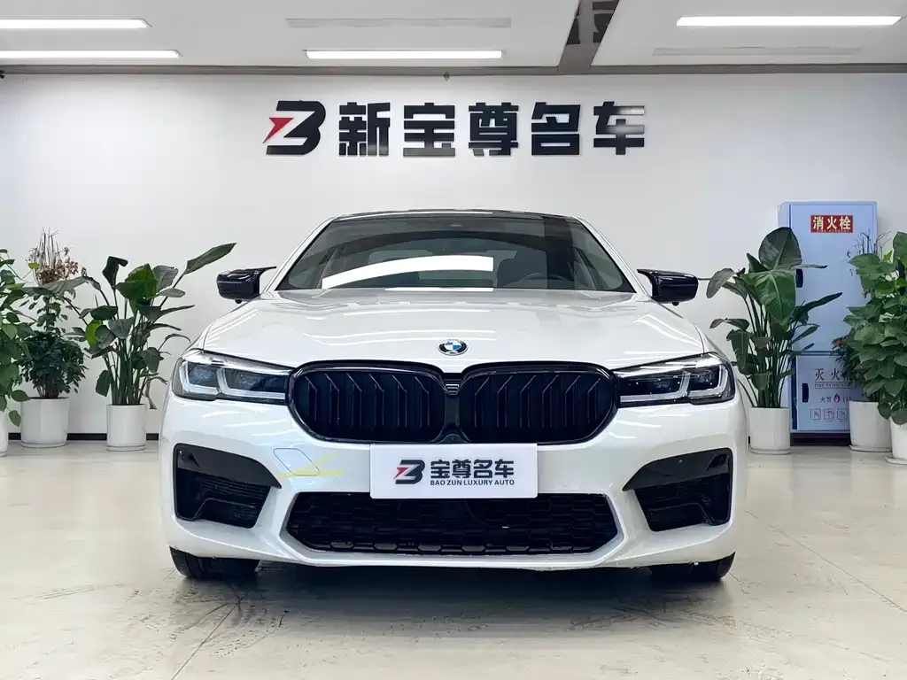 BMW 5 Series 2021 из CN, фото 2