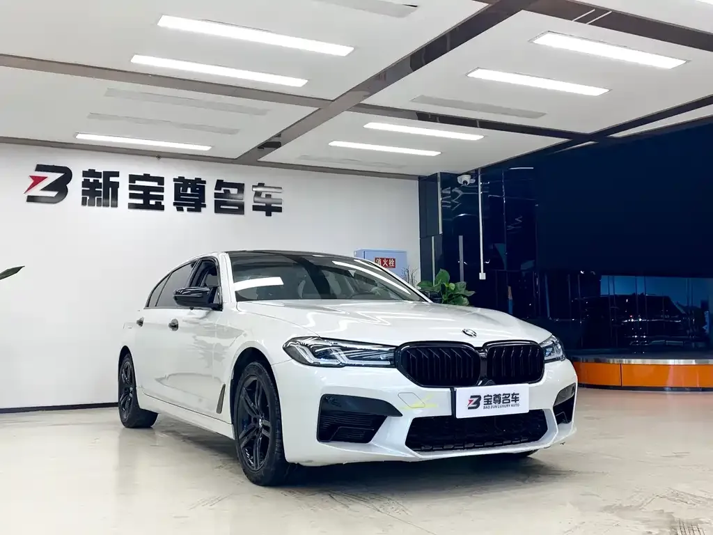 BMW 5 Series 2021 из CN, фото 3