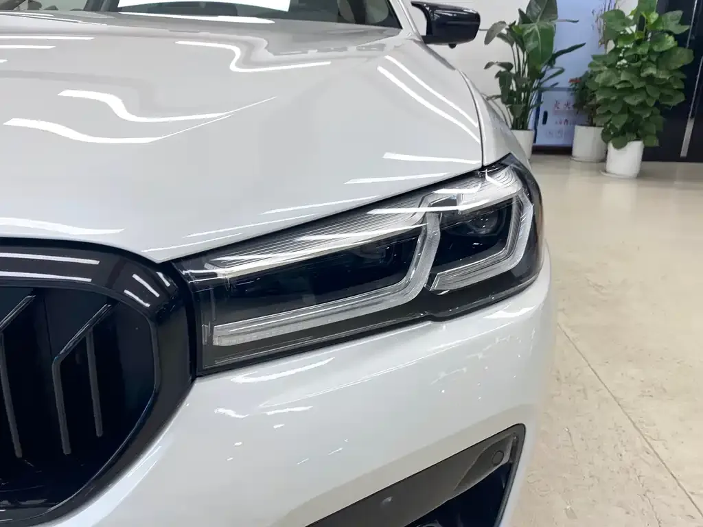 BMW 5 Series 2021 из CN, фото 4