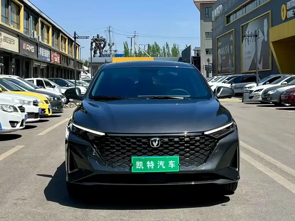Changan Ruicheng PLUS 2023 из CN, фото 3