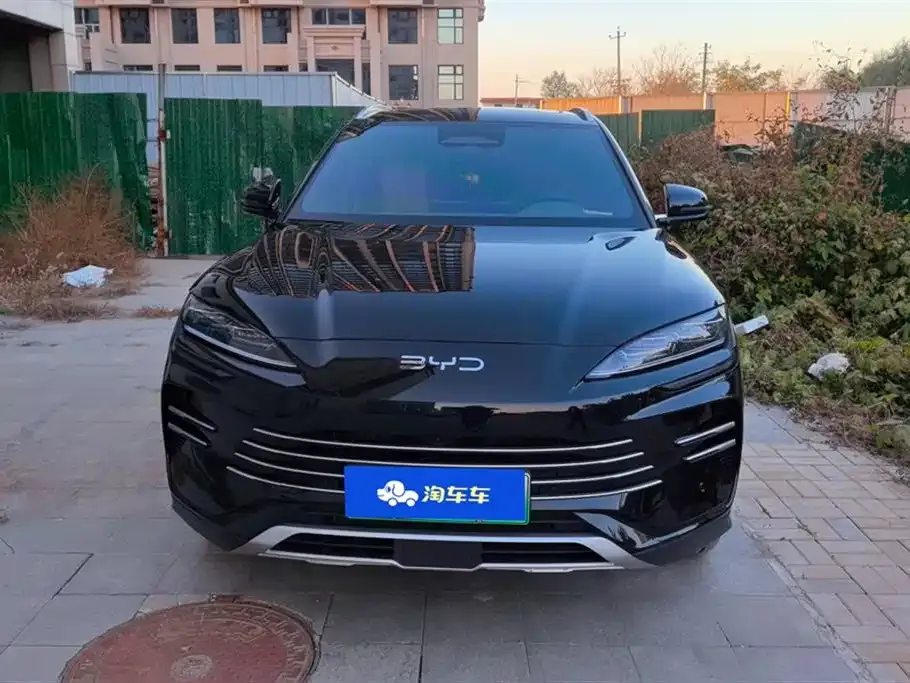 BYD PLUS New Energy 2025 из CN, фото 2