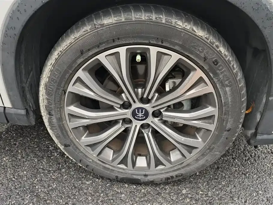 BYD Pro New Energy — фото 6