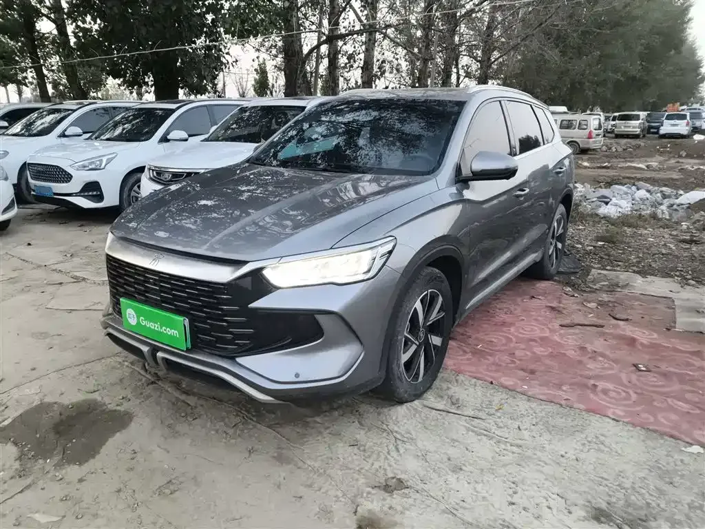 BYD Pro New Energy 2024 из CN, фото 2