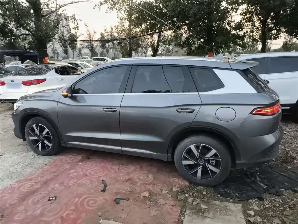 BYD Pro New Energy 2024 из CN, фото 5