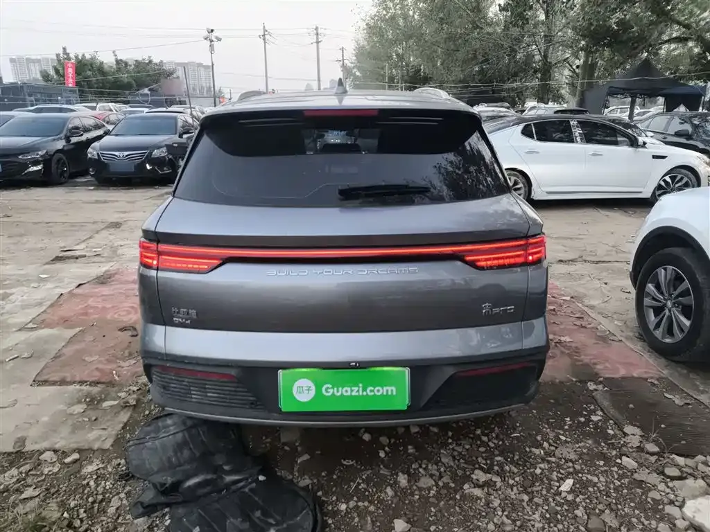 BYD Pro New Energy 2024 из CN, фото 6
