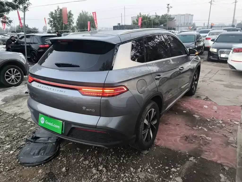 BYD Pro New Energy 2024 из CN, фото 7