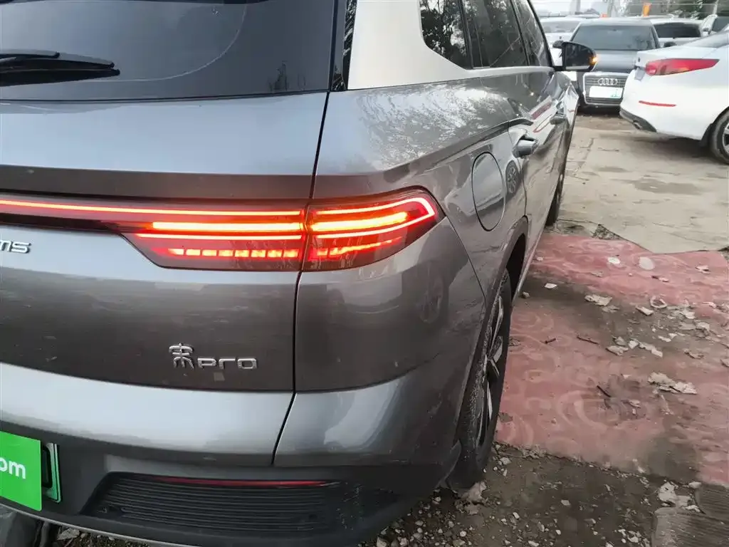 BYD Pro New Energy 2024 из CN, фото 8