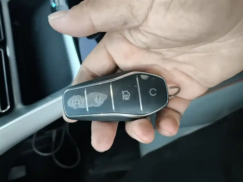 BYD Pro New Energy 2024 из CN, фото 9