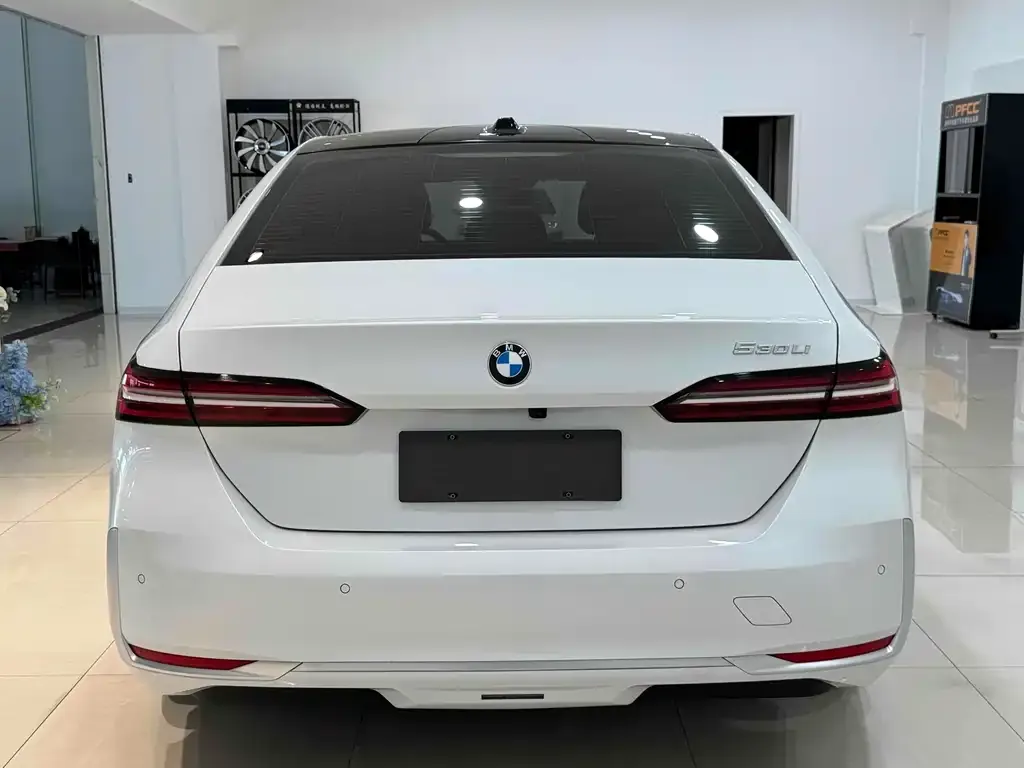BMW 5 Series 2024 из CN, фото 5
