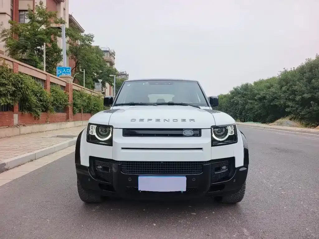 Land Rover Defender 2024 из CN, фото 2