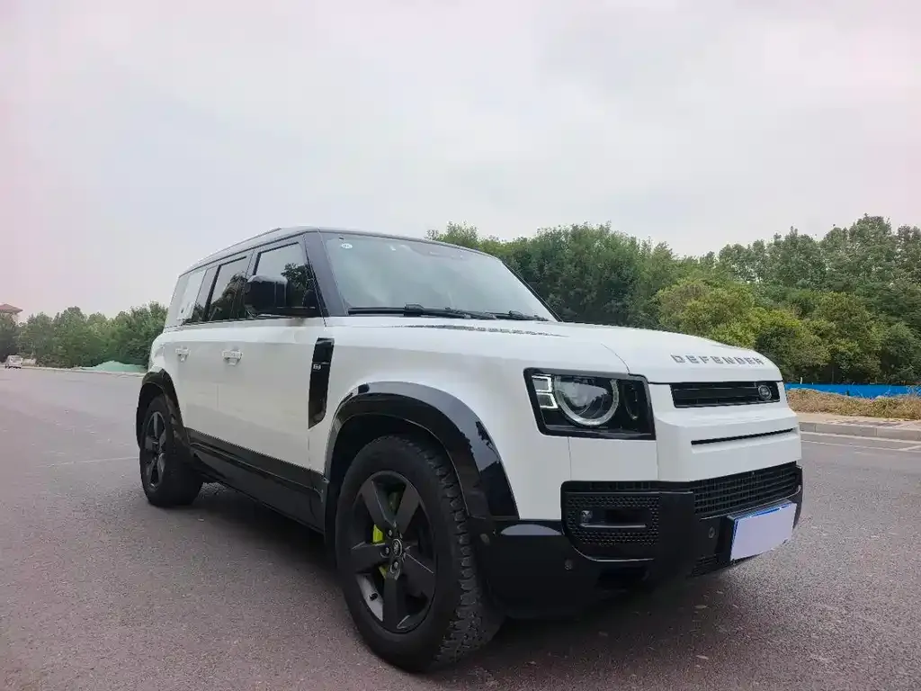 Land Rover Defender 2024 из CN, фото 3